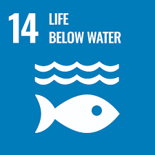 Global Water Challenge