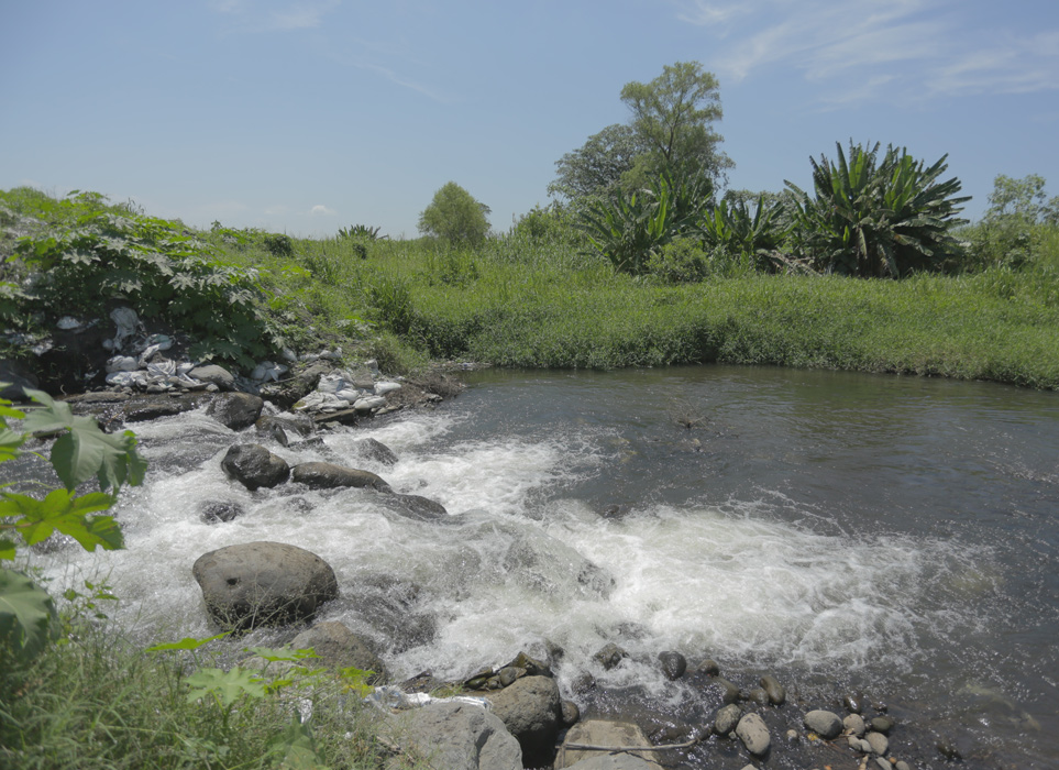 Global Water Challenge